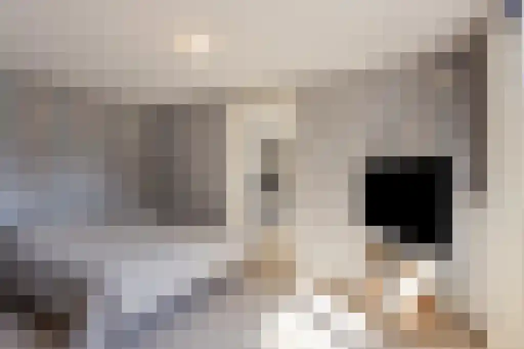 Achterweg 19 Nieuwe Wetering thumbnail 21