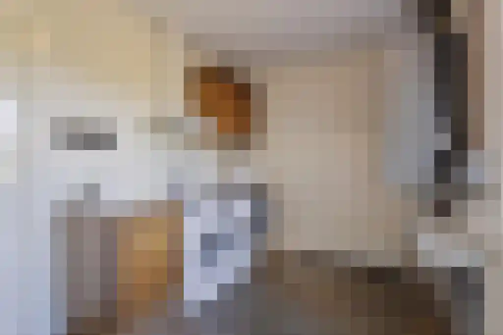 Achterweg 19 Nieuwe Wetering thumbnail 26