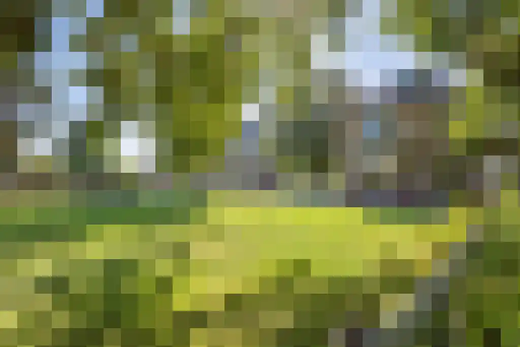 Achterweg 19 Nieuwe Wetering thumbnail 33