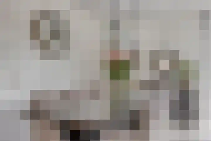 Achterweg 2 A Hoogvliet Rotterdam thumbnail 17