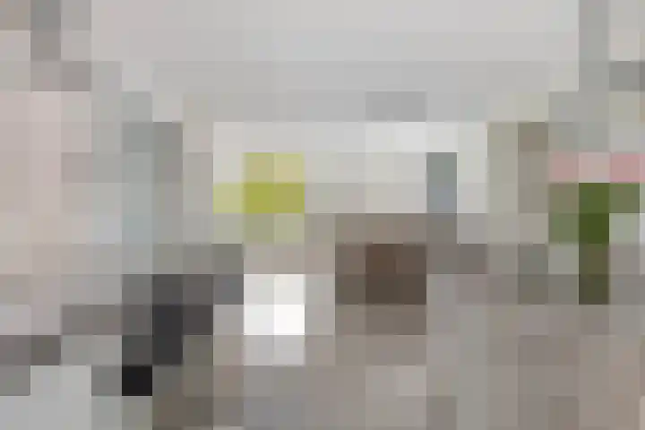 Achterweg 2 A Hoogvliet Rotterdam thumbnail 18