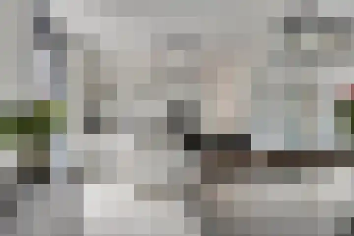 Achterweg 2 A Hoogvliet Rotterdam thumbnail 23