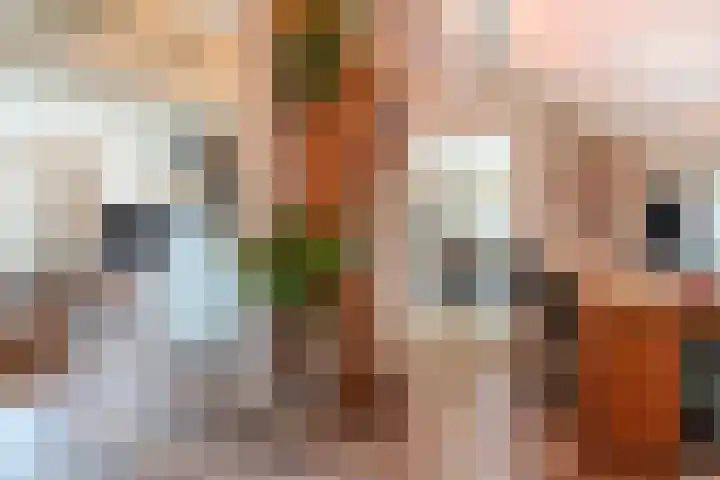 Achterweg 2 Beusichem thumbnail 12