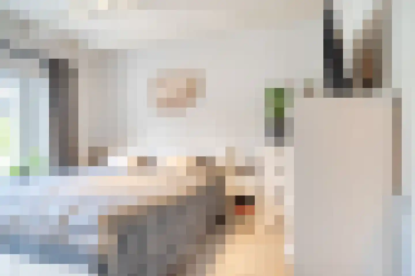 Achterweg 2 Beusichem thumbnail 15