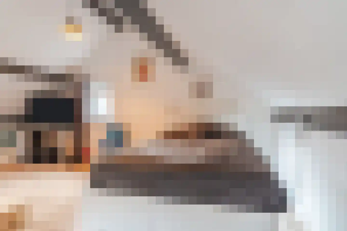 Achterweg 2 Beusichem thumbnail 18