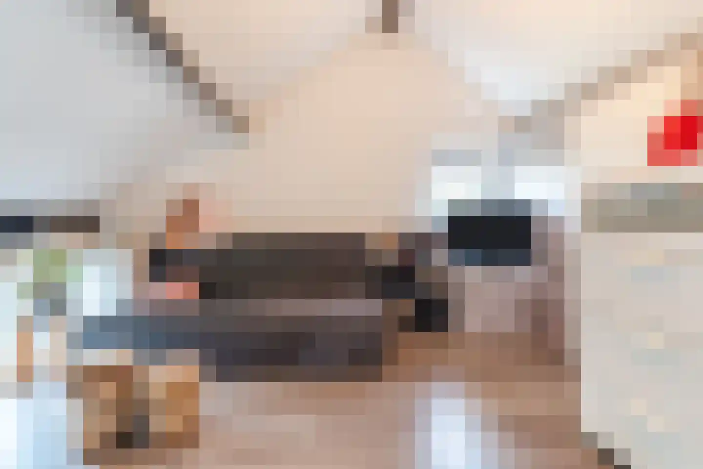 Achterweg 2 Beusichem thumbnail 22