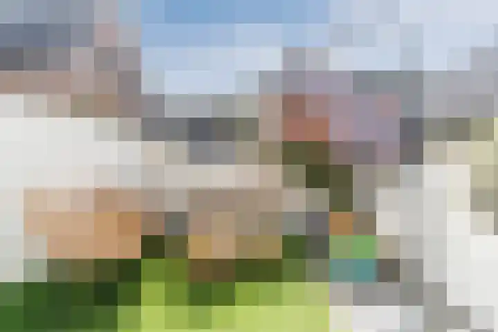 Achterweg 2 Beusichem thumbnail 26
