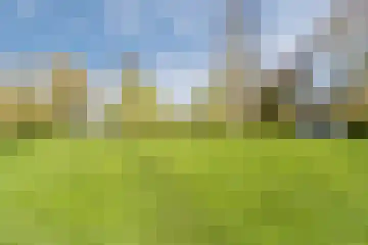 Achterweg 2 Beusichem thumbnail 28