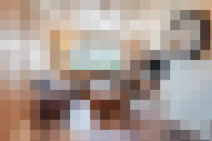 Achterweg 2 Beusichem thumbnail 7