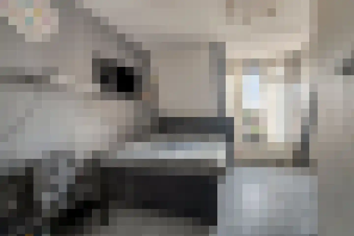 Achterweg 2 D Hoogvliet Rotterdam thumbnail 25