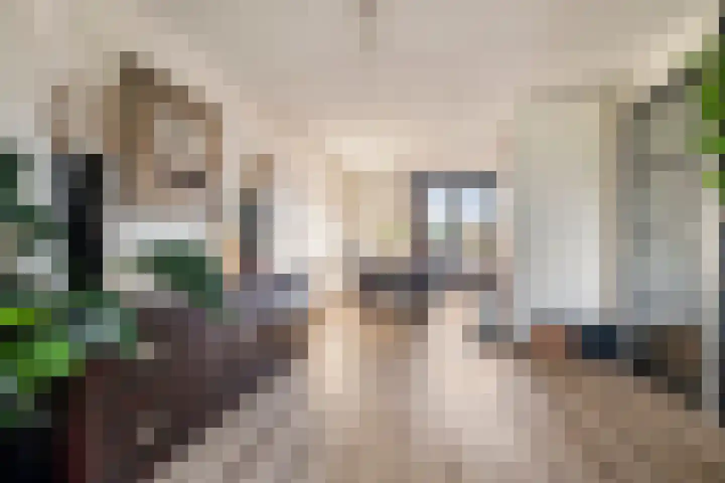 Achterweg 2 D Hoogvliet Rotterdam thumbnail 9