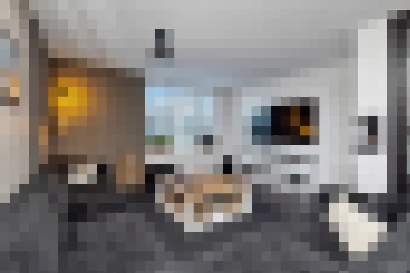 Achterweg 2 G Hoogvliet Rotterdam thumbnail 11