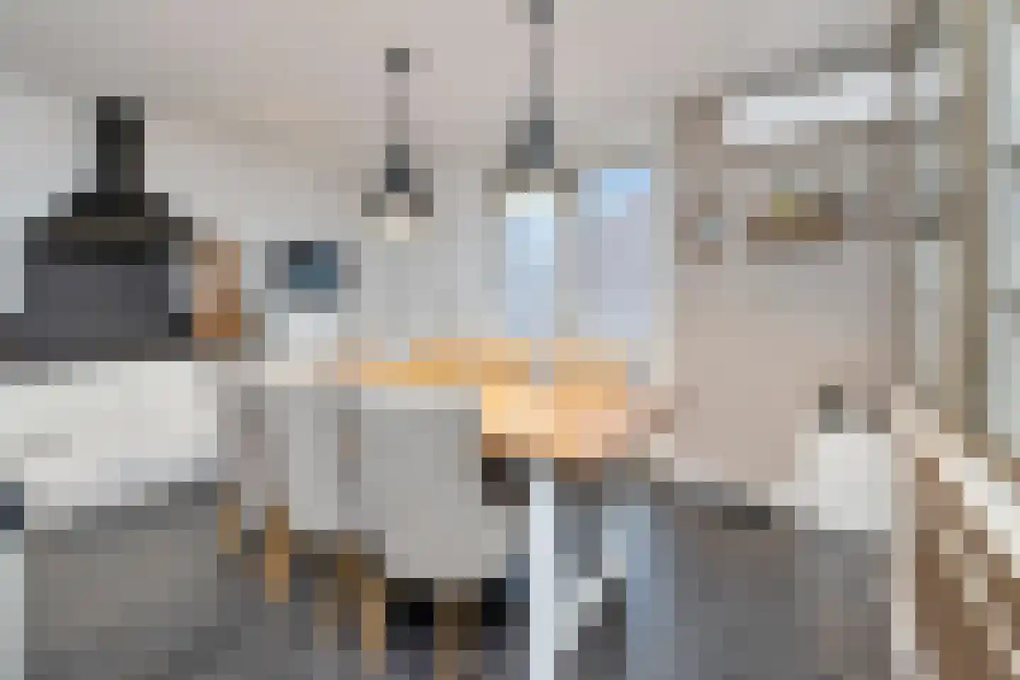 Achterweg 2 G Hoogvliet Rotterdam thumbnail 15