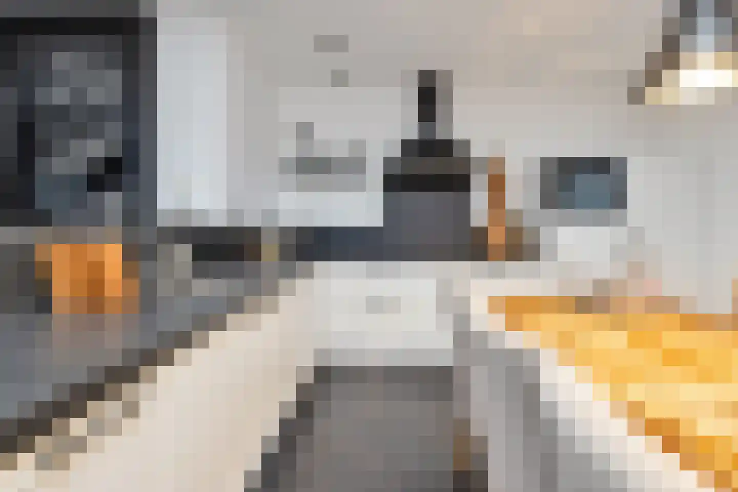 Achterweg 2 G Hoogvliet Rotterdam thumbnail 17