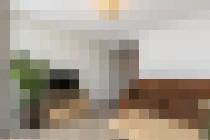 Achterweg 2 J Nieuwkoop thumbnail 19