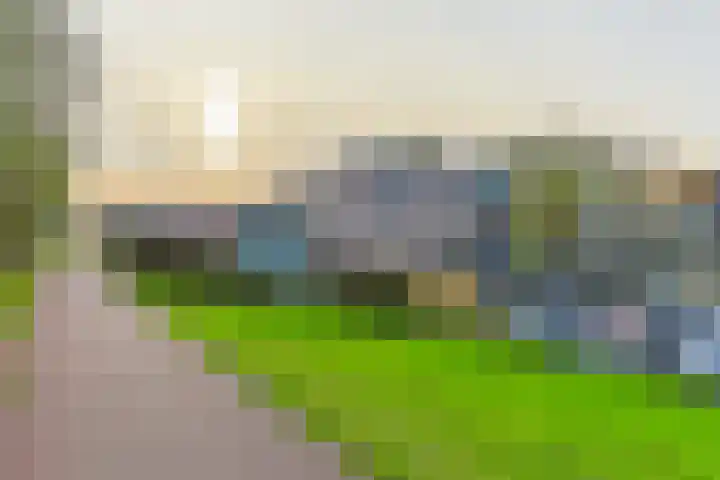 Achterweg 2 J Nieuwkoop thumbnail 26
