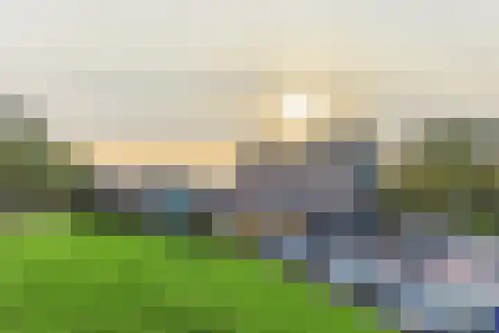 Achterweg 2 J Nieuwkoop thumbnail 27