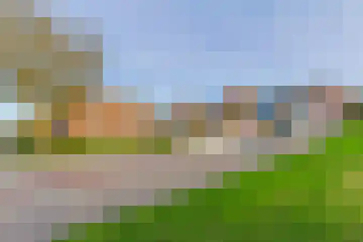 Achterweg 2 J Nieuwkoop thumbnail 29