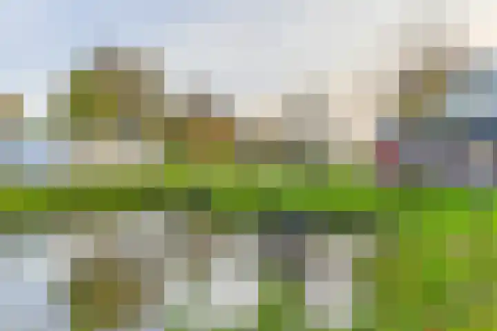 Achterweg 2 J Nieuwkoop thumbnail 31