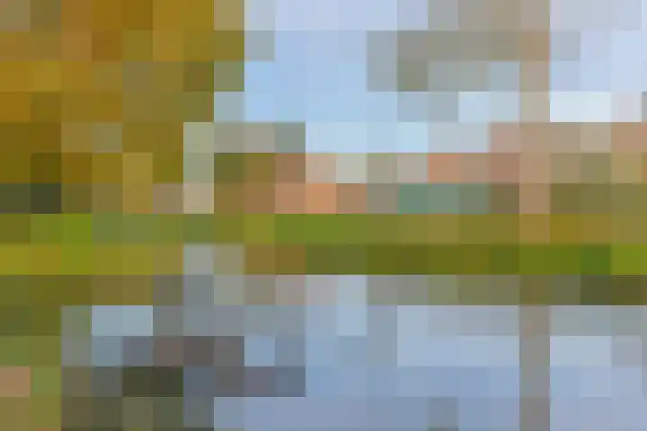 Achterweg 2 J Nieuwkoop thumbnail 32