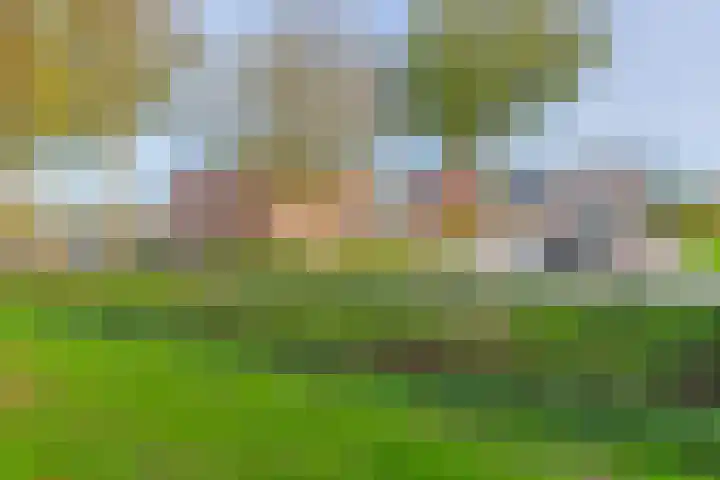 Achterweg 2 J Nieuwkoop thumbnail 33