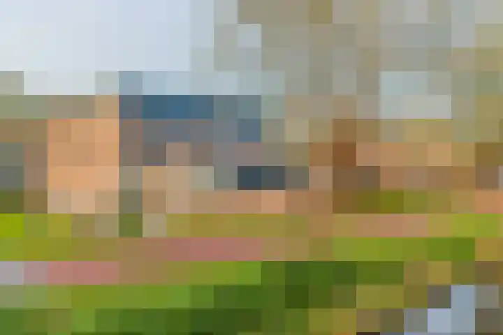 Achterweg 2 J Nieuwkoop thumbnail 34