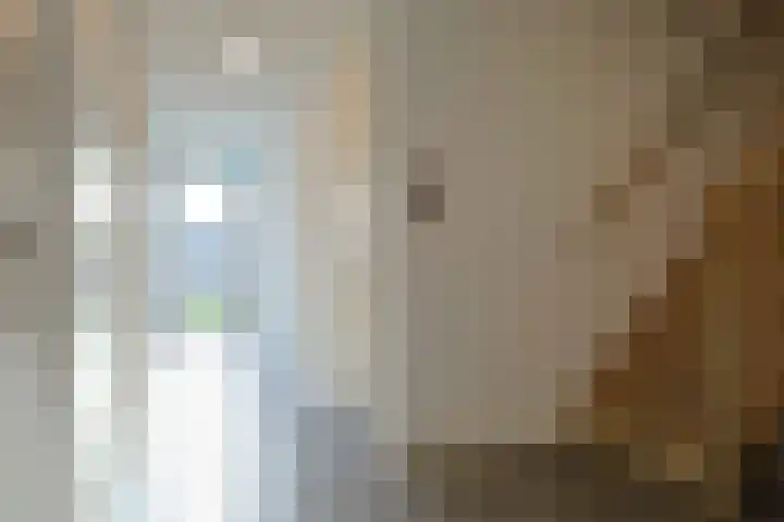 Achterweg 2 J Nieuwkoop thumbnail 8