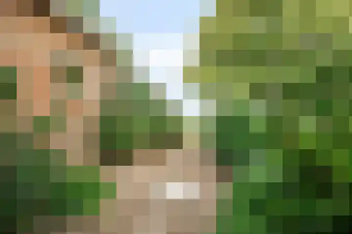 Achterweg 2 Nieuwe Wetering thumbnail 23