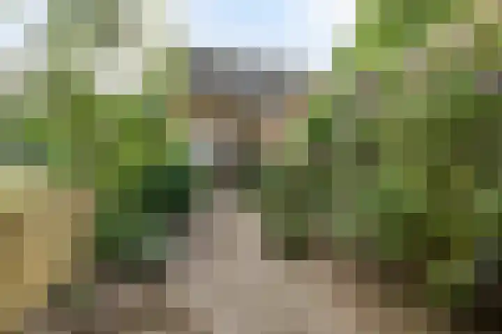 Achterweg 2 Nieuwe Wetering thumbnail 24