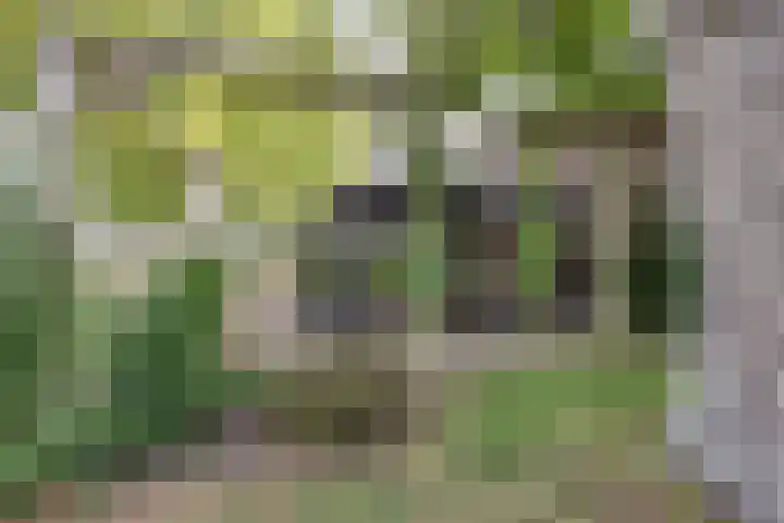 Achterweg 2 Nieuwe Wetering thumbnail 25