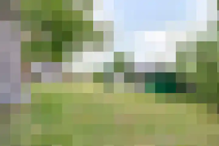 Achterweg 2 Nieuwe Wetering thumbnail 27