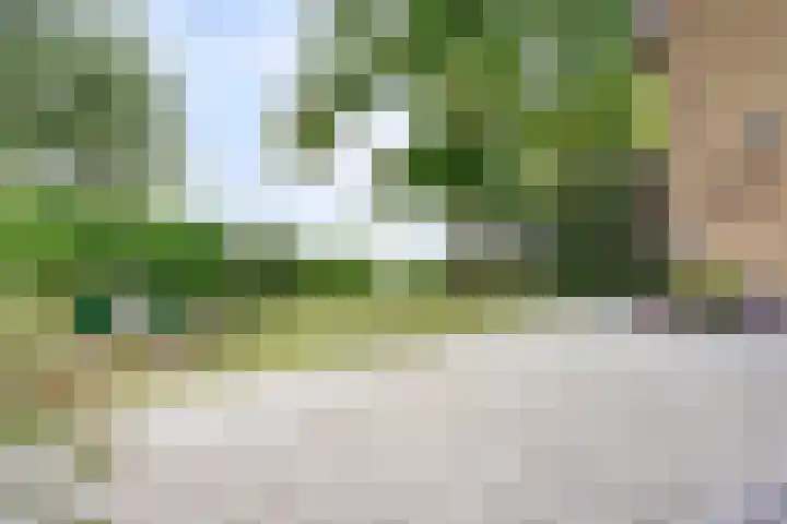 Achterweg 2 Nieuwe Wetering thumbnail 28