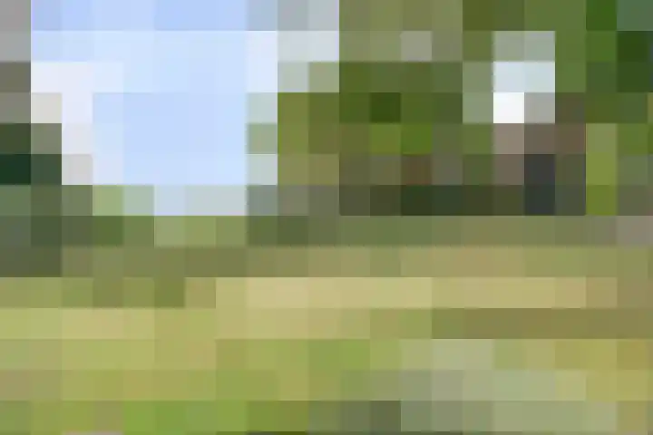 Achterweg 2 Nieuwe Wetering thumbnail 29