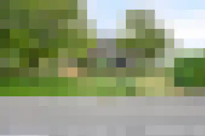 Achterweg 2 Nieuwe Wetering thumbnail 30