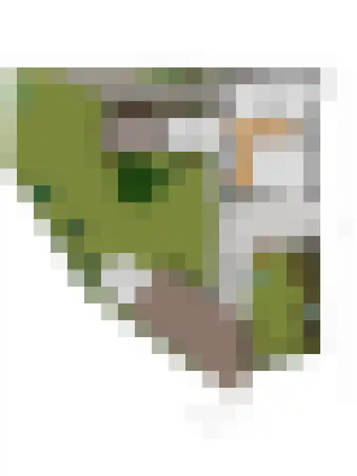 Achterweg 2 Nieuwe Wetering thumbnail 35