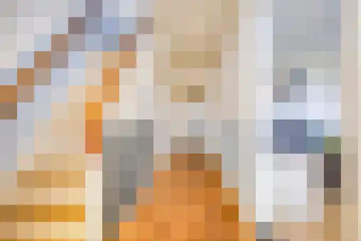 Achterweg 2 Nieuwe Wetering thumbnail 4