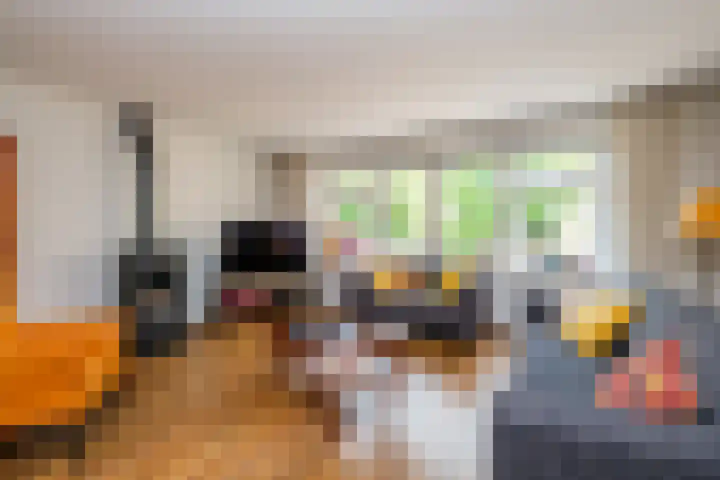 Achterweg 22 Genemuiden thumbnail 11