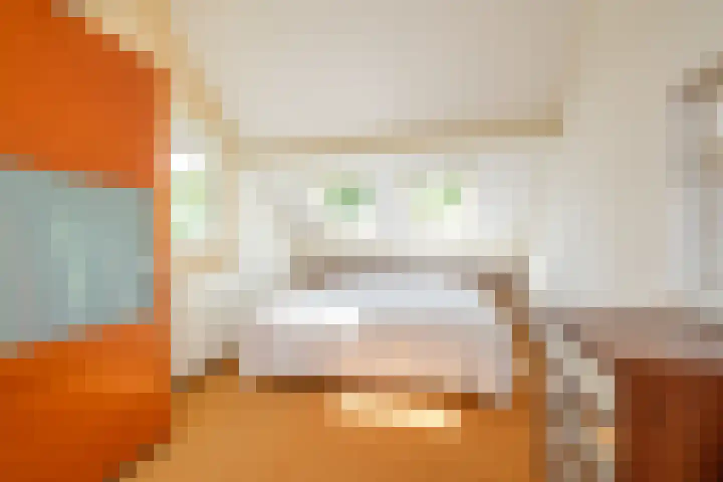 Achterweg 22 Genemuiden thumbnail 25