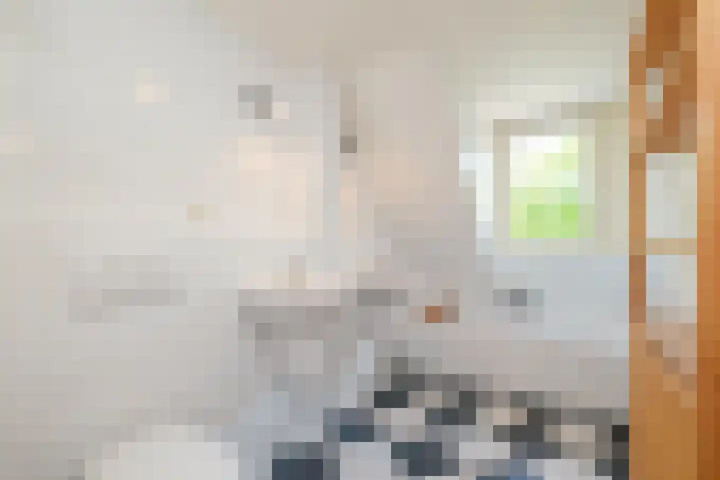 Achterweg 22 Genemuiden thumbnail 33