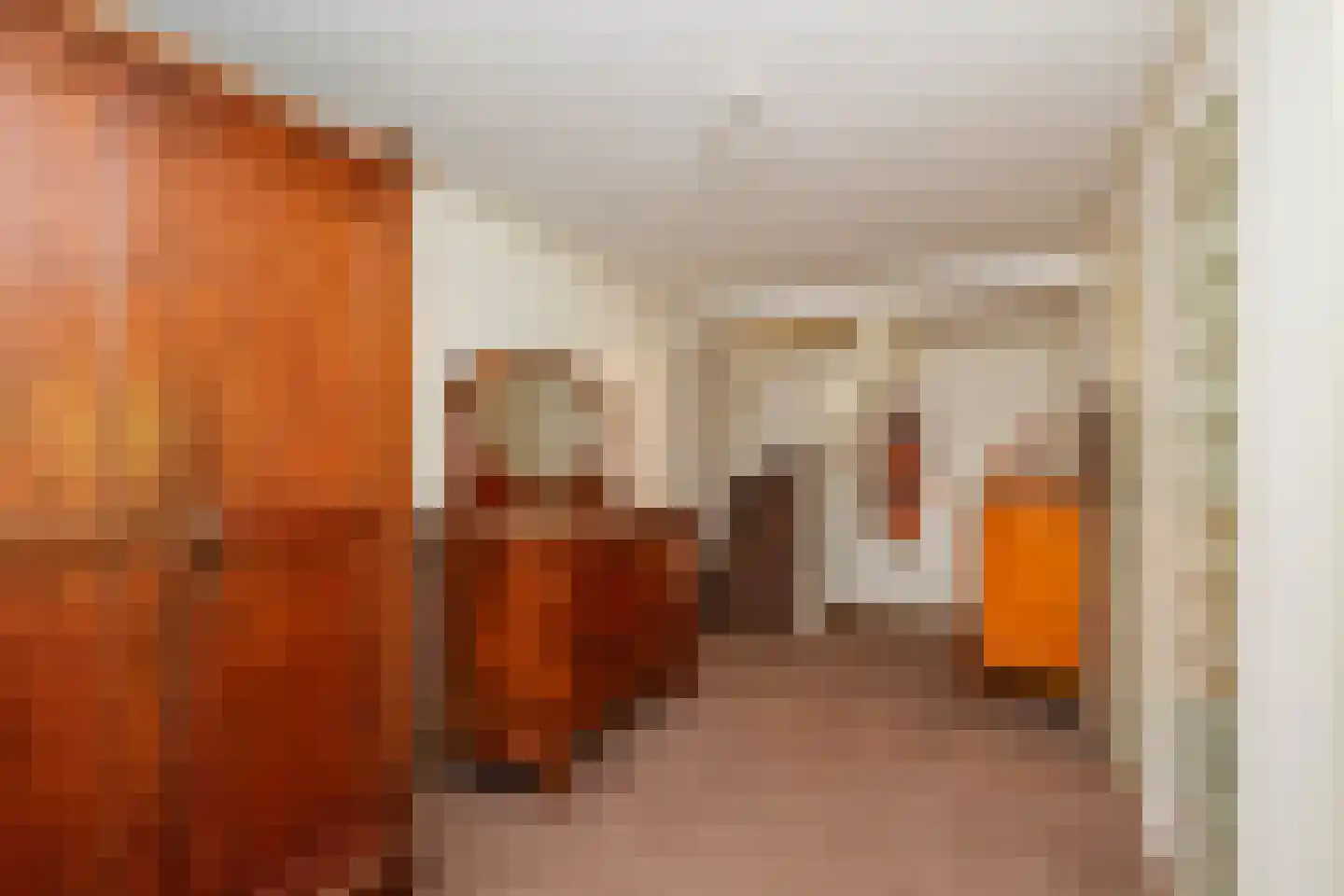 Achterweg 22 Genemuiden thumbnail 35