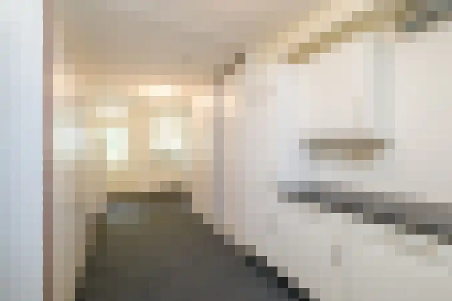 Achterweg 22 Genemuiden thumbnail 39