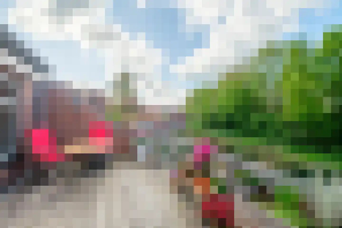 Achterweg 22 Genemuiden thumbnail 43