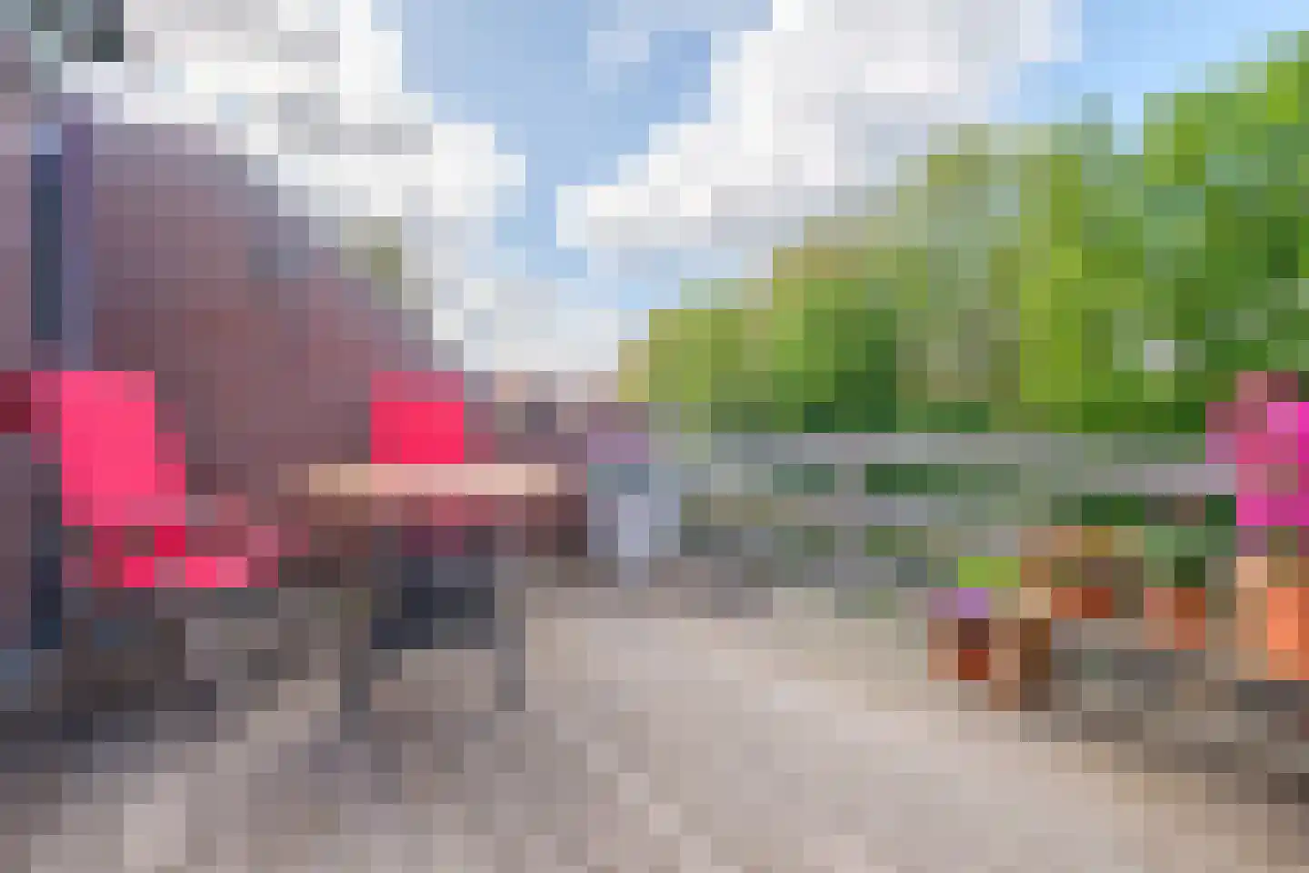 Achterweg 22 Genemuiden thumbnail 44