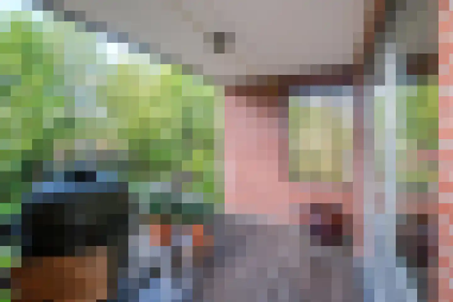 Achterweg 22 Genemuiden thumbnail 47