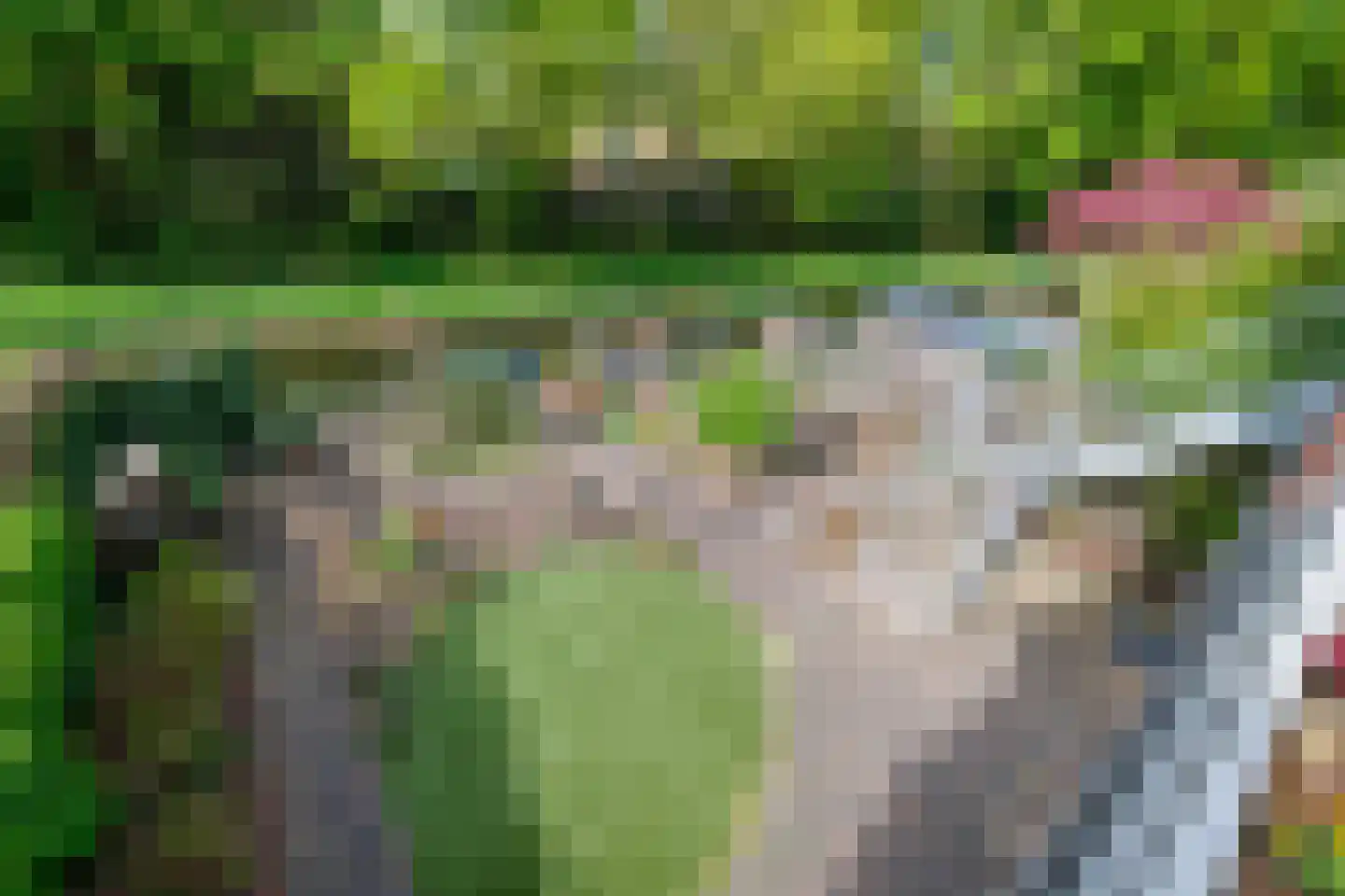 Achterweg 22 Genemuiden thumbnail 48