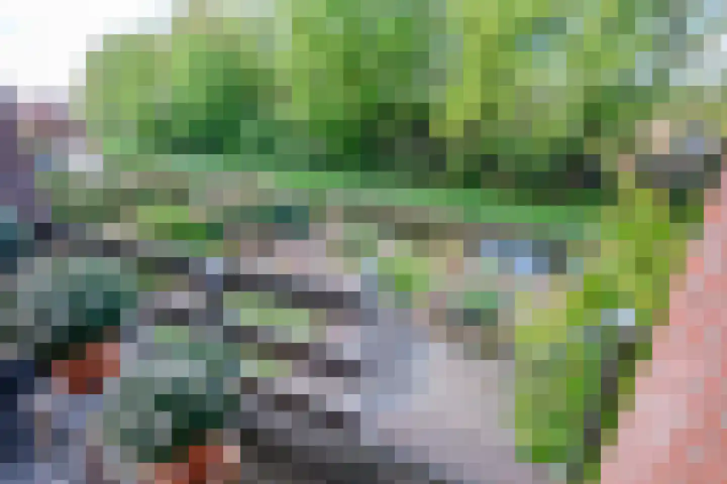 Achterweg 22 Genemuiden thumbnail 49