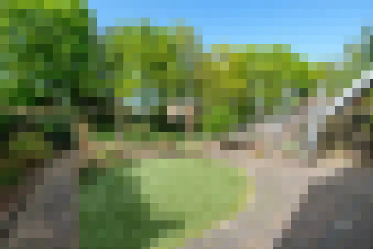 Achterweg 22 Genemuiden thumbnail 5