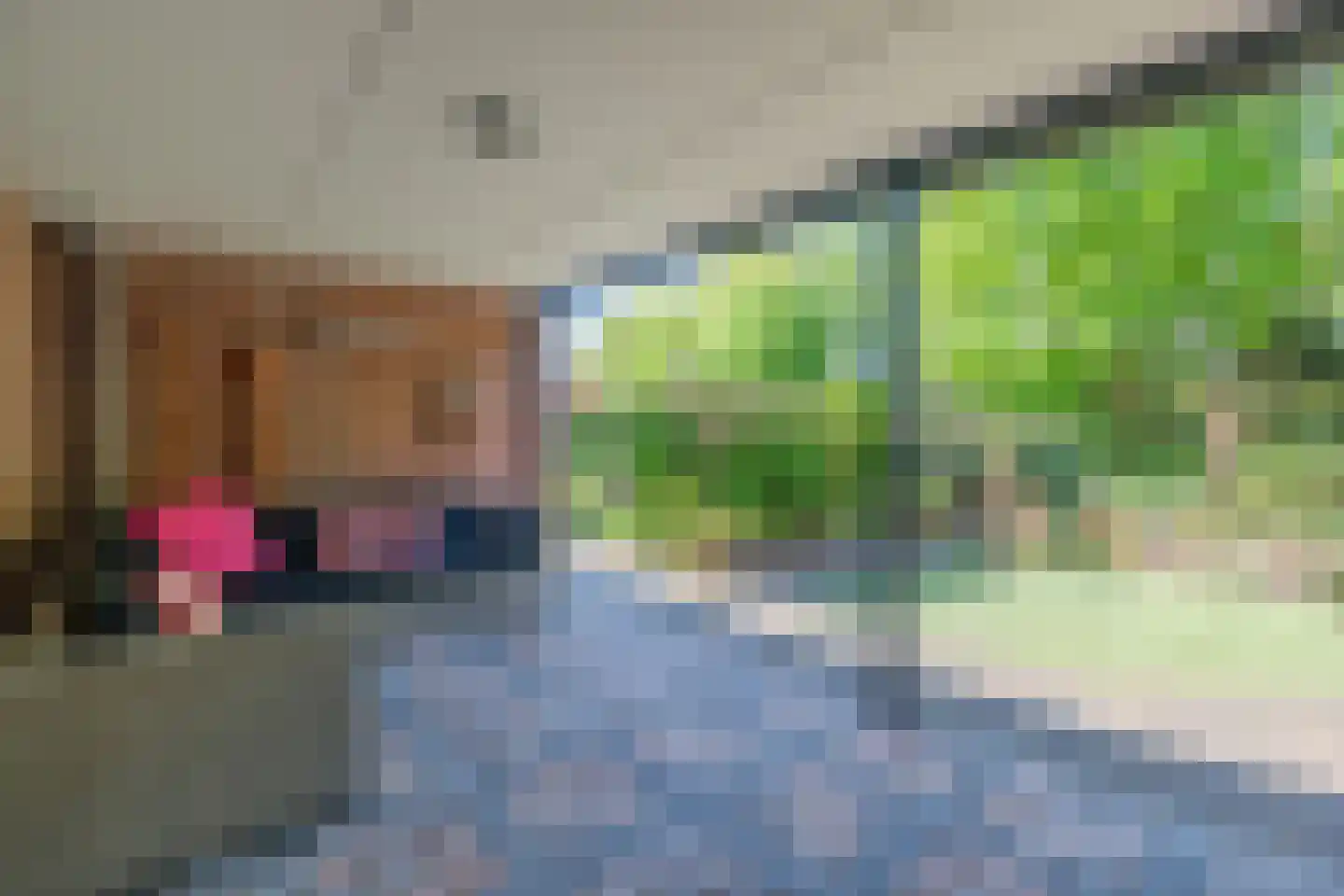 Achterweg 22 Genemuiden thumbnail 53