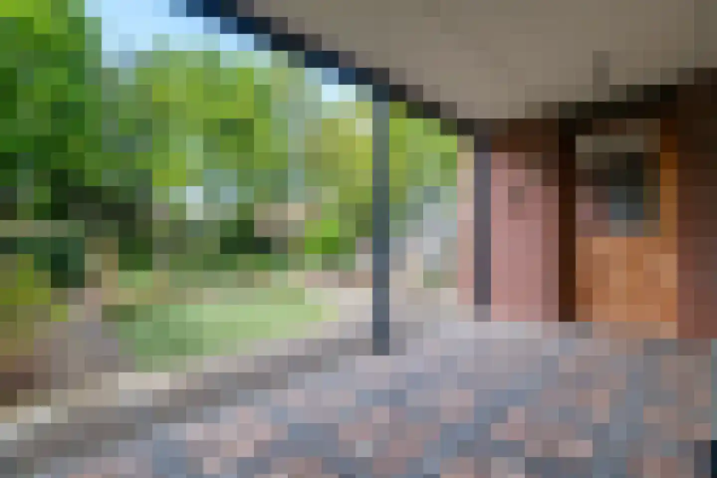 Achterweg 22 Genemuiden thumbnail 54
