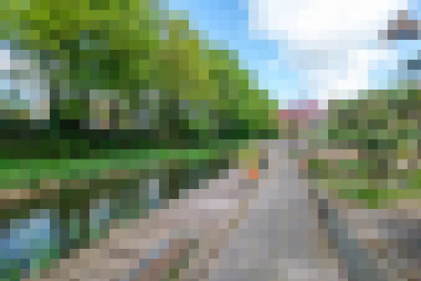 Achterweg 22 Genemuiden thumbnail 56